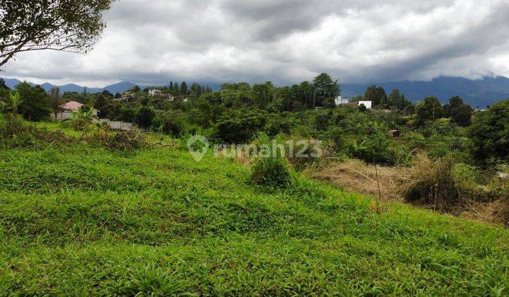 Tanah Garapan Dekat Jalan raya Puncak Bogor  1