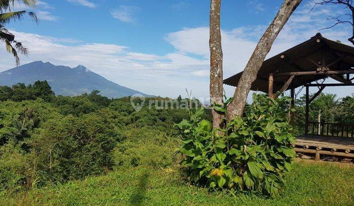 Tanah Luas Strategis Di Gadog Puncak Bogor  2