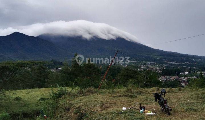 Tanah Shm 1000 Mdpl Dekat Jalan Raya Puncak  1