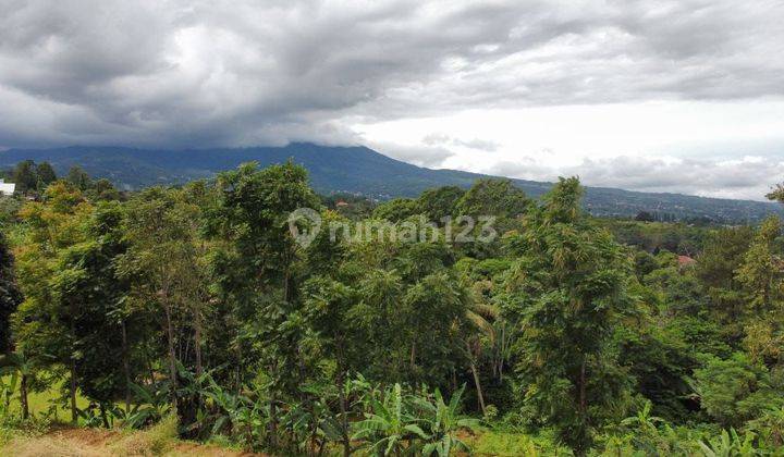 Tanah 1000 Meter Lokasi Premium Di Puncak Bogor  1