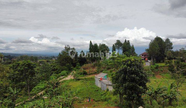 Tanah 1000 Meter Lokasi Premium Di Puncak Bogor  2