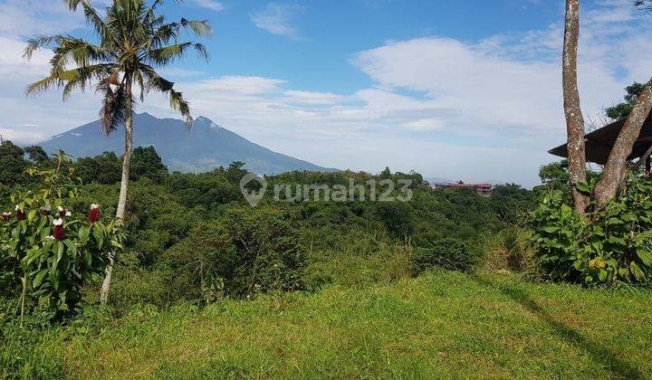 Tanah Luas Strategis Di Gadog Puncak Bogor  1