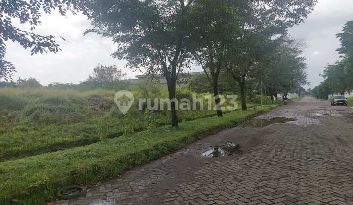 For Quick Sale Industrial Land in Cikande Industrial Area. SHGB