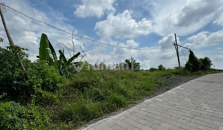 Tanah Kawasan Villa Dekat Pantai Kedungu Tanah Kawasan Villa Dekat Pantai Kedungu