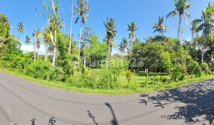 Land Near Soka Beach, Gilimanuk Road