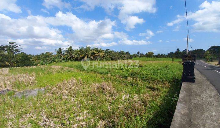 Dijual Rumah SHM Baru konsep minimalis di Gubug Tabanan 1