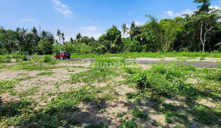 Plot of Land in Gianyar Near Saba Beach 1