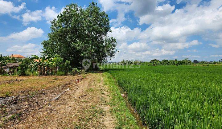 Nyitdah Land Plot with Rice Field View, Tabanan 2