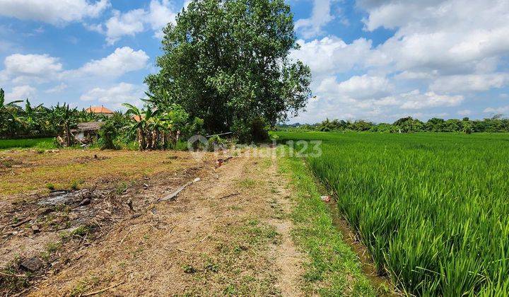 Nyitdah Land Plot with Rice Field View, Tabanan 1