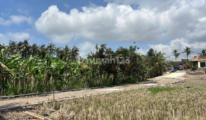 Tanah Kavling View Sawah di Pering Dekat Dengan Rs Kasih Ibu 2