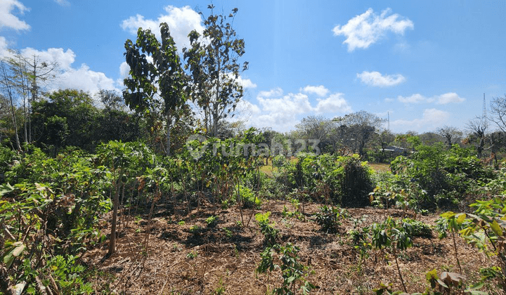 Tanah Global di Kutuh Dekat Pantai Green Bowl, Nusa Dua 2