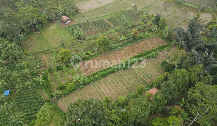 Quick Sale: Affordable SHM Land in Nyalindung Sukabumi with Car Access.