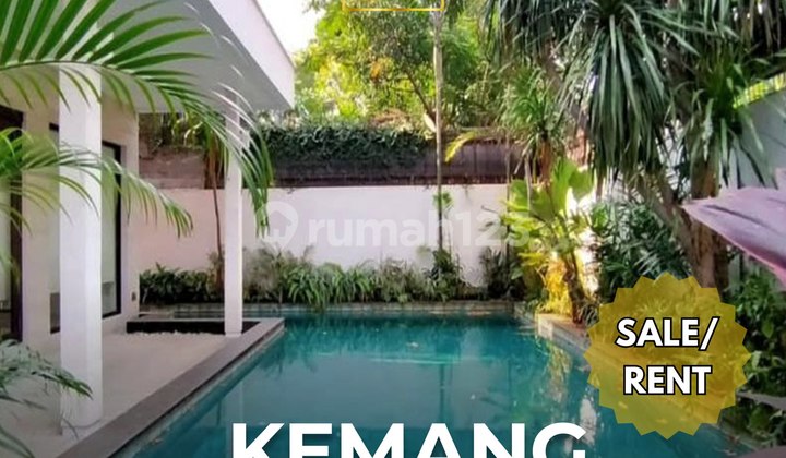 Rumah Sewa Kemang area Tenang Dekat MCD Kemang Rumah Sewa Kemang area Tenang Dekat MCD Kemang