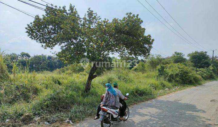 Kavling Dekat Rsud Cileungsi 1 Hektar Per M Hanya 2 Jt An 2