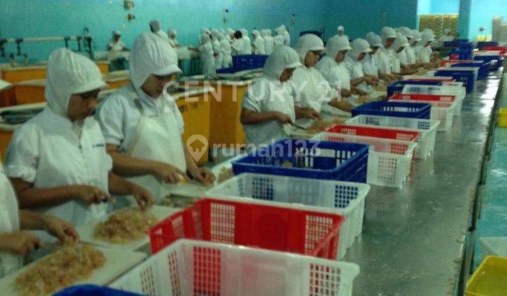 Pabrik Cold Storage Di Jl Lintang Area Sentul Bogor Jawa Barat 2