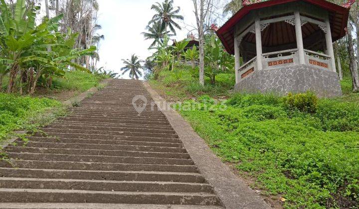 Tanah Luas+kebun Cengkeh Durian Strategis di Negare Tabanan Bali 1