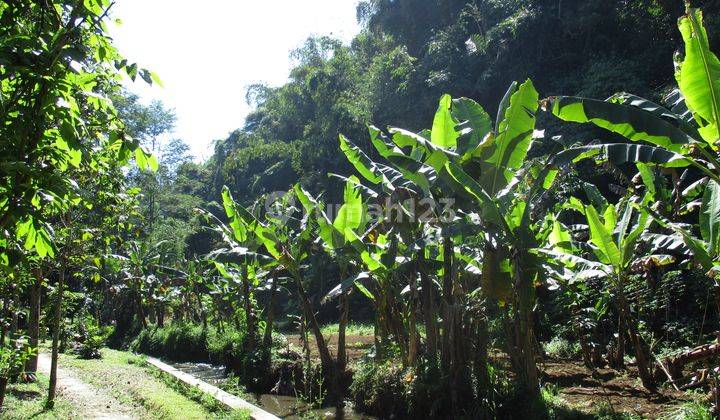 Tanah Murah Untuk Villa usaha cafe di Gudang Kahuripan Lembang 1