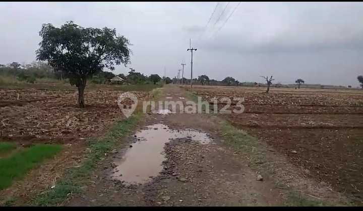 Tanah Luas Strategis dekat Bandara dan Tol Kertajati Majalengka Tanah Luas Strategis dekat Bandara dan Tol Kertajati Majalengka
