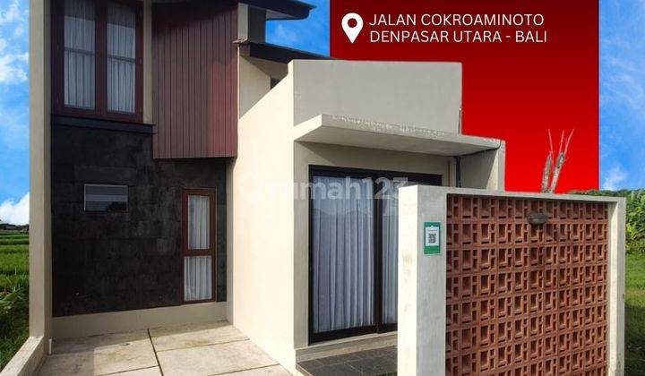 Rumah Cluster Minimalis 2 Kamar Di Denpasar Utara View Sawah 1