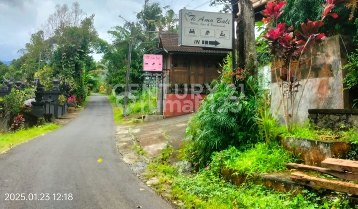 Tanah Lokasi Strategis Cocok Dibangun Villa Di Tabanan S7711 2
