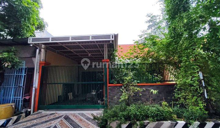 Disewakan Rumah Kamar Banyak Bratang Binangun Pusat Kota  1