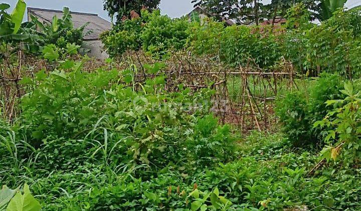 DI JUAL Cepat Kavling Luas 1500m Di Babakan Setu Tangerang 2