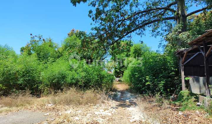 Dijual Rumah Tanah Ditenggemung Wetan Dijual Rumah Tanah Ditenggemung Wetan