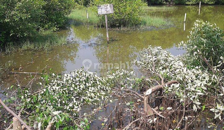 Tanah murah Tambak Medokan Ayu,di Surabaya Timur 1