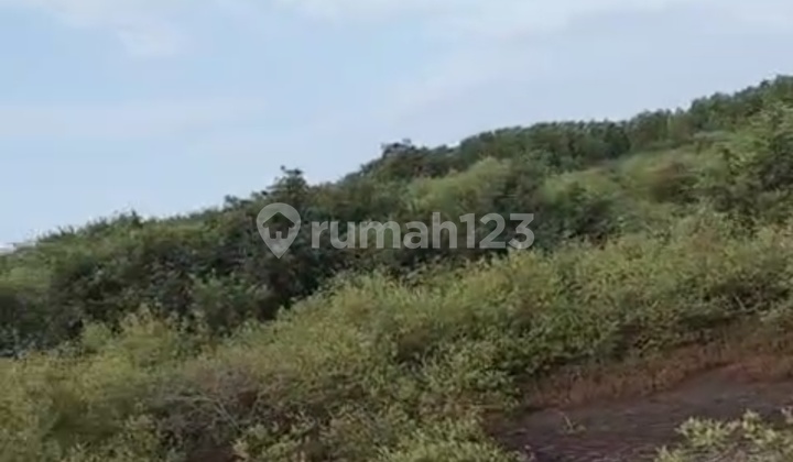 Tanah Tambak Dusun Sumberan Tongas, Probolinggo.