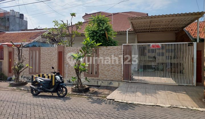 Dijual Rumah Mojoarum Surabaya Pusat Dekat Jalan Merr Dijual Rumah Mojoarum Surabaya Pusat Dekat Jalan Merr