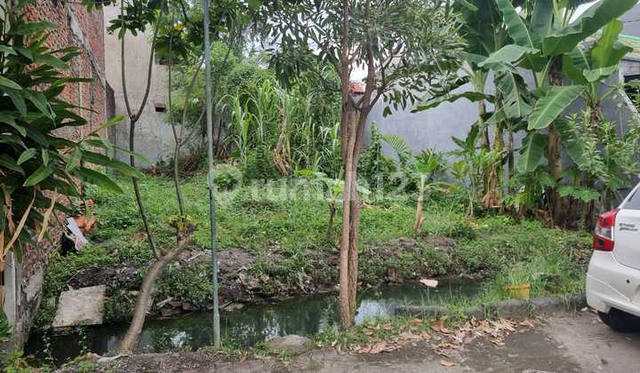 Dijual Tanah Rewwin Jl Jatayu Waru Sidoarjo Dijual Tanah Rewwin Jl Jatayu Waru Sidoarjo