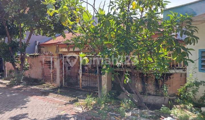 Old House For Sale in North Mulyosari, Surabaya