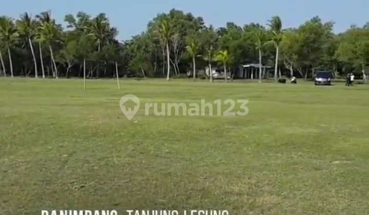 Tanah Premium 41.666 M2 Lokasi Strategis Dekat Tanjung Lesung Pandeglang Banten