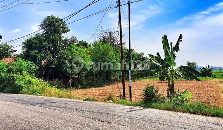 Tanah 1635m2 Shm Di Babelan, Bekasi.