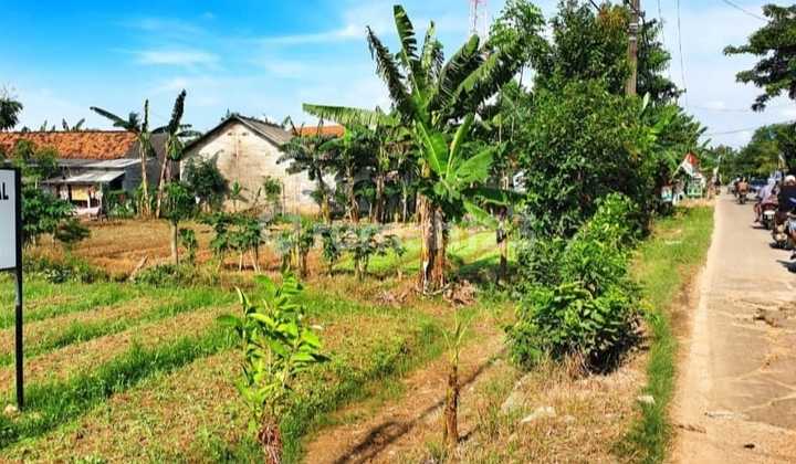 Tanah 2478m2 Di Pinggir Jalan Raya Babelan.