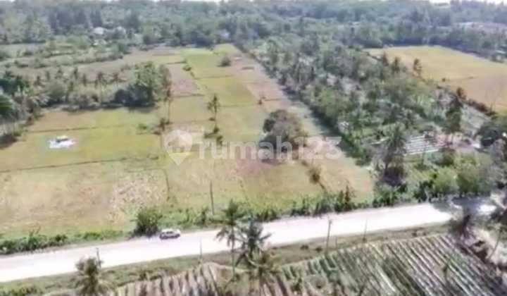 Tanah Premium 41.666 M2 Lokasi Strategis Dekat Tanjung Lesung Pandeglang Banten