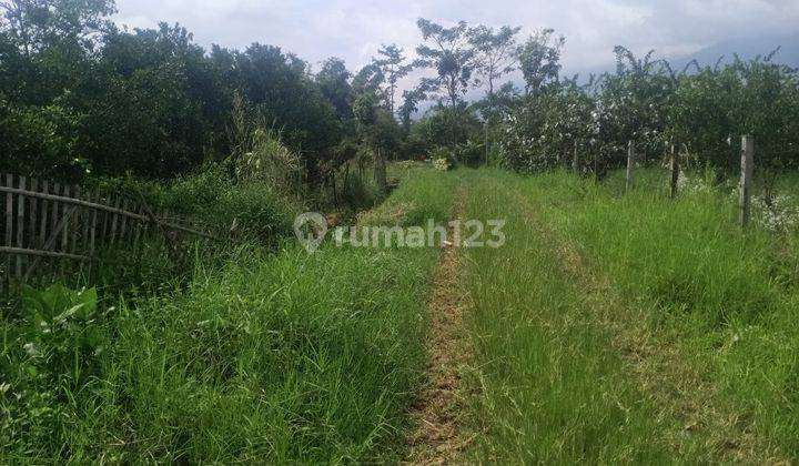 Tanah Luas Asri Dikelilingi Kebun View Pegunungan Bumiaji Batu 1