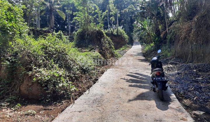 Tanah Murah Lur Dijual Tanah Di Tajinan Dekat Pemukiman Warga 1