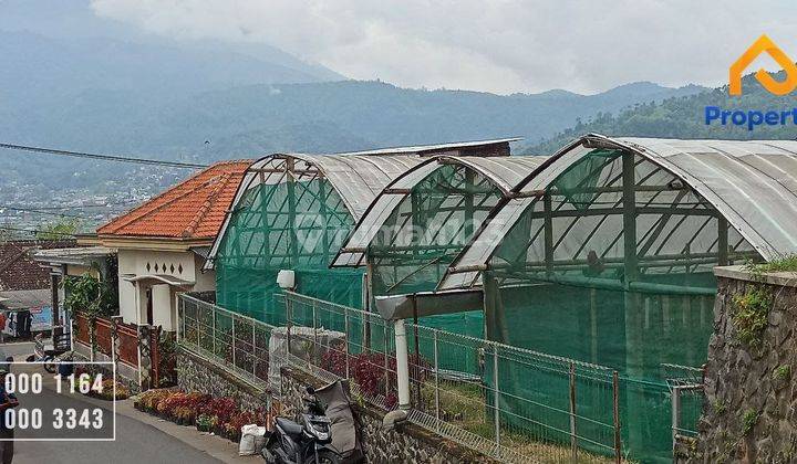 Tanah Murah Daerah Sidomulyo Akses Aspal Kota Batu 1