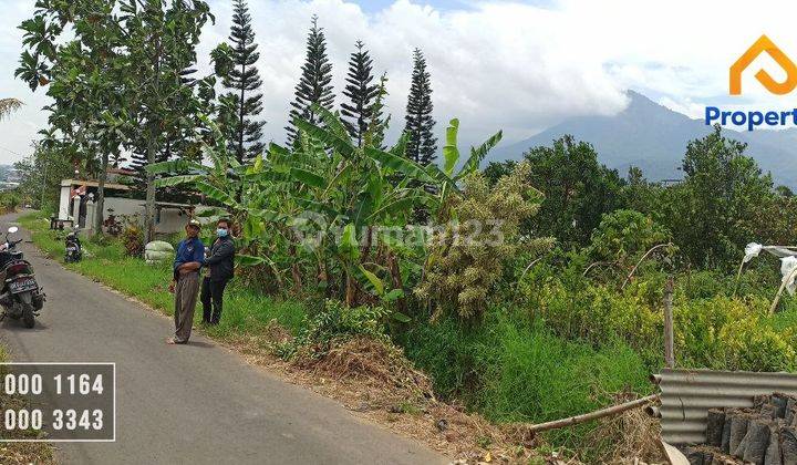 Dijual Rugi Tanah Sidomulyo Jalan Aspal Akses Mobil Kota Batu 2