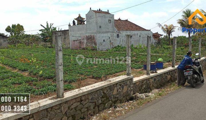 Dijual Rugi Tanah Sidomulyo Jalan Aspal Akses Mobil Kota Batu 1