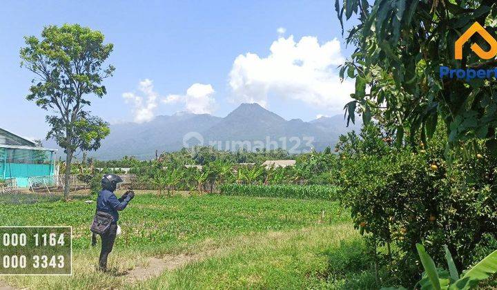 Tanah Murah Dekat Baloga Jatim Park4 Bumiaji Kota Batu 2