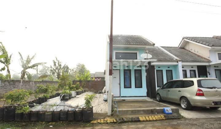 FOR SALE: House with Extremely Large Land at an Affordable Price in a Housing Complex 2