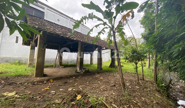 Sold at a Loss!!! Former Red Brick Production Land with existing well and brick firing shed (Highly suitable for Business or Residence). Sold at a Loss!!! Former Red Brick Production Land with existing well and brick firing shed (Highly suitable for Business or Residence).