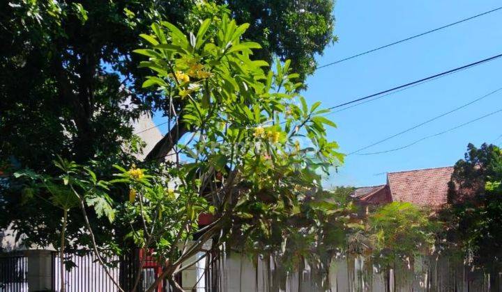 DISEWAKAN RUMAH KOMERSIAL 0 JALAN RAYA SURABAYA PUSAT  1