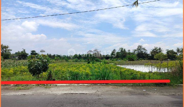 Tanah Dijual di Kebonagun Sleman Kawasan Berkembang 2