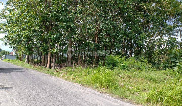 Tanah Dusun Pajangan Dijual Dekat Sch Mall 2