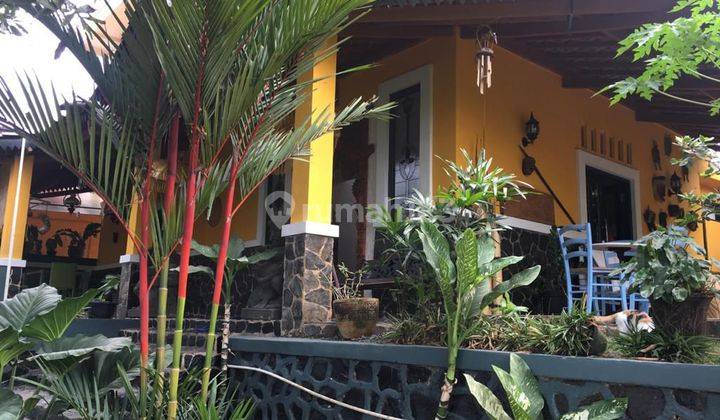 Dijual Rumah Rasa Villa di Kemang, Bogor, 2 Lantai, ada kolam renang 2