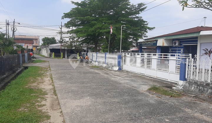 Rumah Dijual Luas Tanah 856m2 Area Jalan Paus Tangkerang