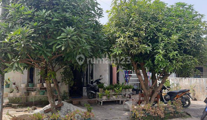 Rumah Dijual Type 60 Lokasi Area Jalan Purwodadi Panam 1